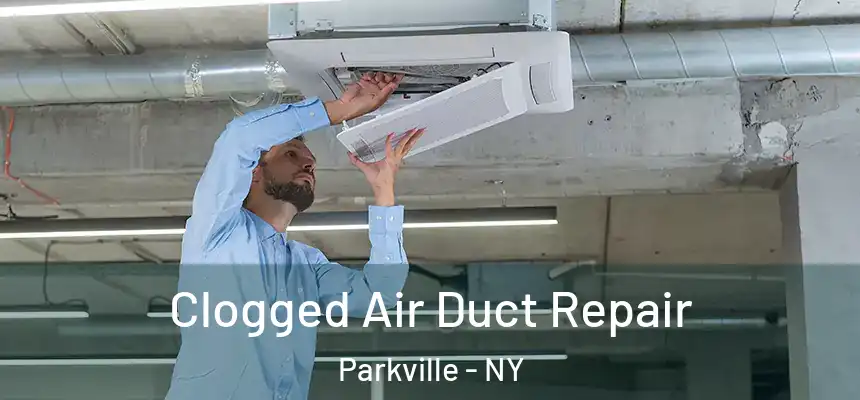  Clogged Air Duct Repair Parkville - NY