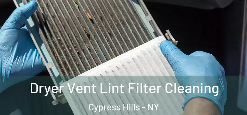 Dryer Vent Lint Filter Cleaning Cypress Hills - NY