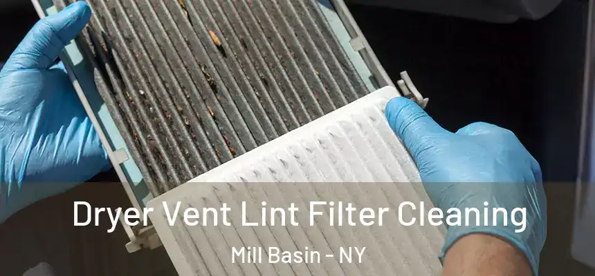 Dryer Vent Lint Filter Cleaning Mill Basin - NY