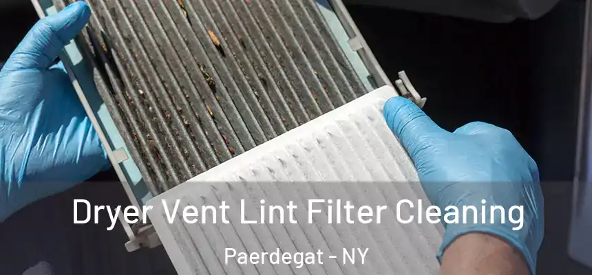 Dryer Vent Lint Filter Cleaning Paerdegat - NY