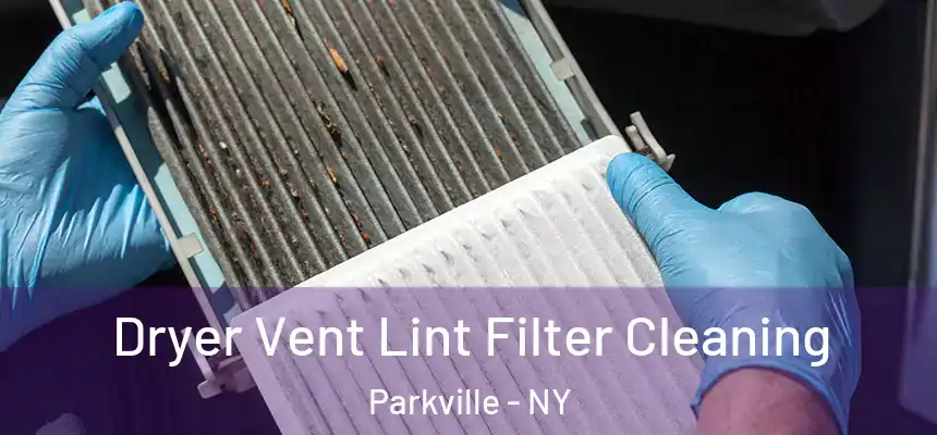 Dryer Vent Lint Filter Cleaning Parkville - NY