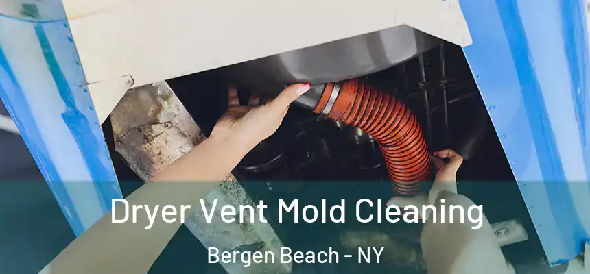 Dryer Vent Mold Cleaning Bergen Beach - NY