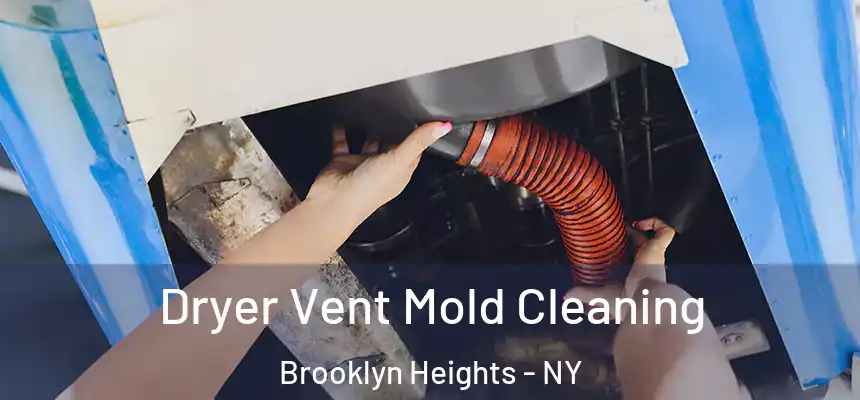 Dryer Vent Mold Cleaning Brooklyn Heights - NY