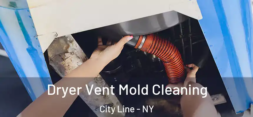 Dryer Vent Mold Cleaning City Line - NY