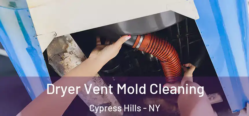 Dryer Vent Mold Cleaning Cypress Hills - NY