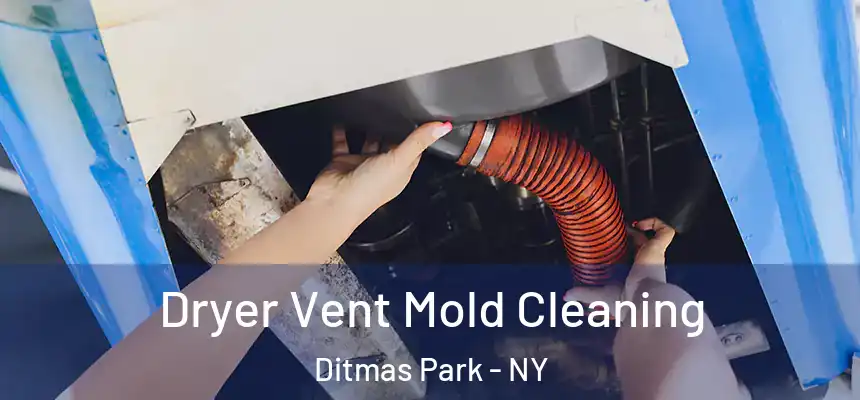 Dryer Vent Mold Cleaning Ditmas Park - NY