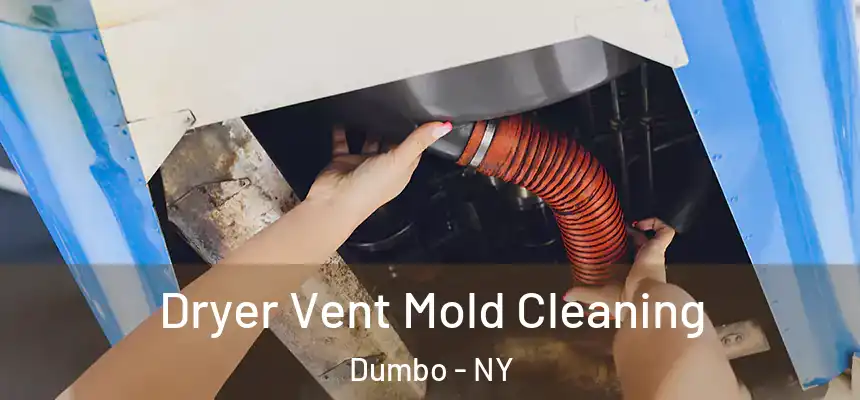 Dryer Vent Mold Cleaning Dumbo - NY