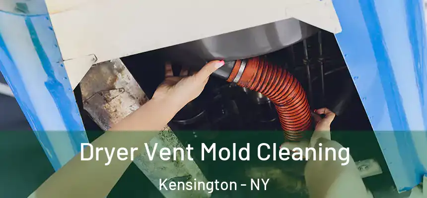 Dryer Vent Mold Cleaning Kensington - NY