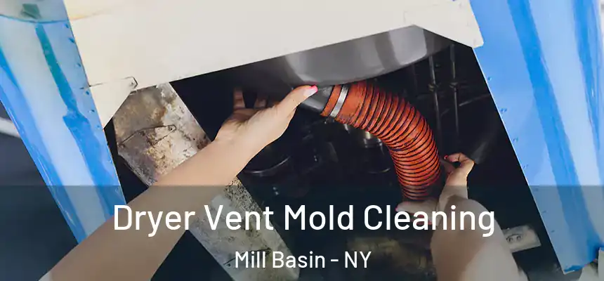 Dryer Vent Mold Cleaning Mill Basin - NY