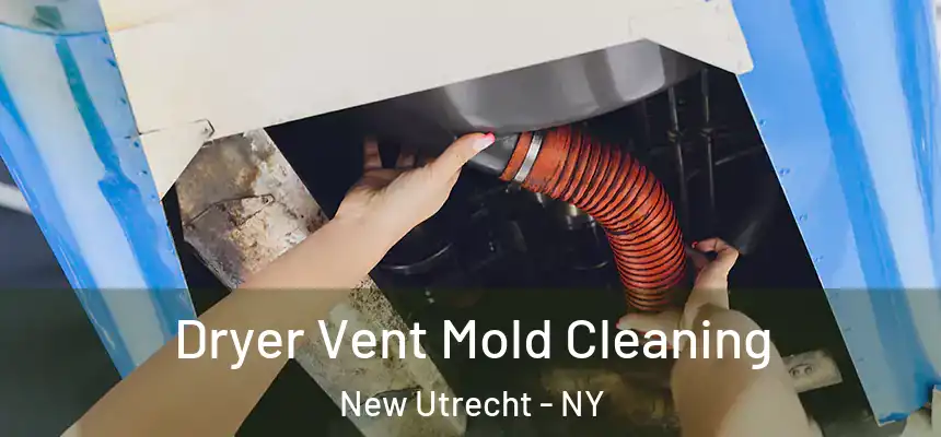 Dryer Vent Mold Cleaning New Utrecht - NY