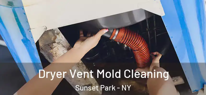 Dryer Vent Mold Cleaning Sunset Park - NY