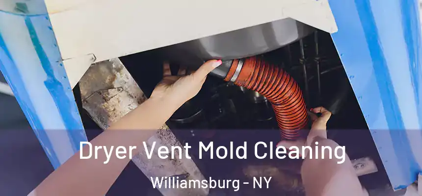 Dryer Vent Mold Cleaning Williamsburg - NY