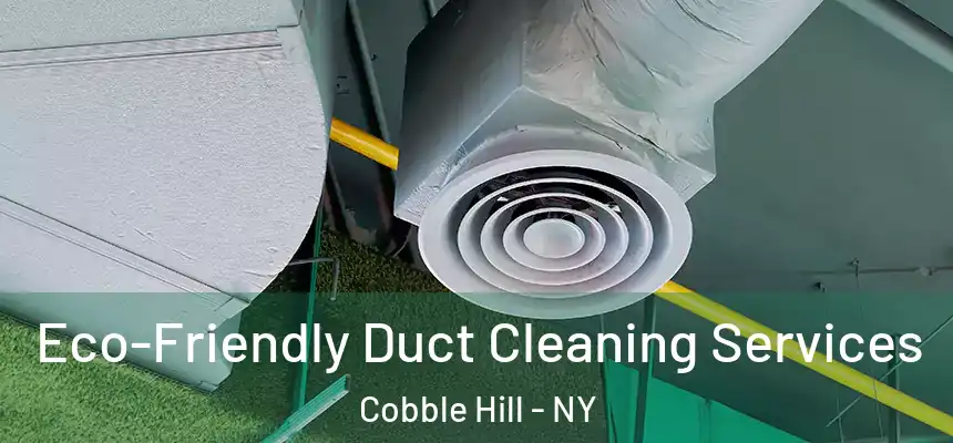 Eco-Friendly Duct Cleaning Services Cobble Hill - NY