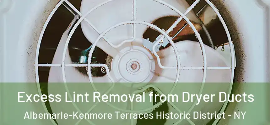 Excess Lint Removal from Dryer Ducts Albemarle-Kenmore Terraces Historic District - NY
