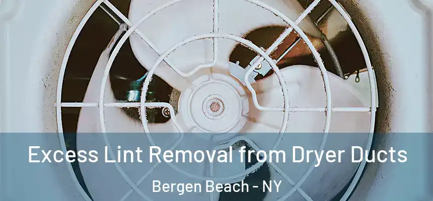 Excess Lint Removal from Dryer Ducts Bergen Beach - NY