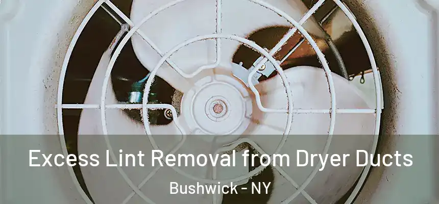 Excess Lint Removal from Dryer Ducts Bushwick - NY