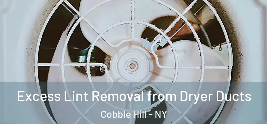 Excess Lint Removal from Dryer Ducts Cobble Hill - NY