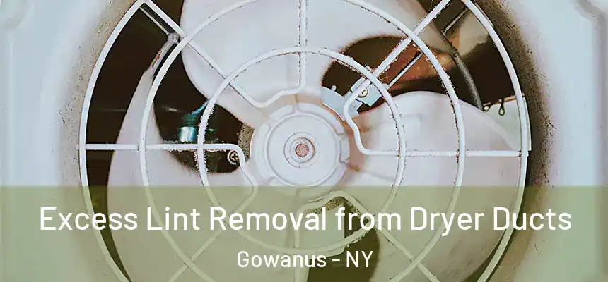Excess Lint Removal from Dryer Ducts Gowanus - NY