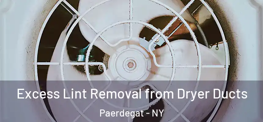  Excess Lint Removal from Dryer Ducts Paerdegat - NY