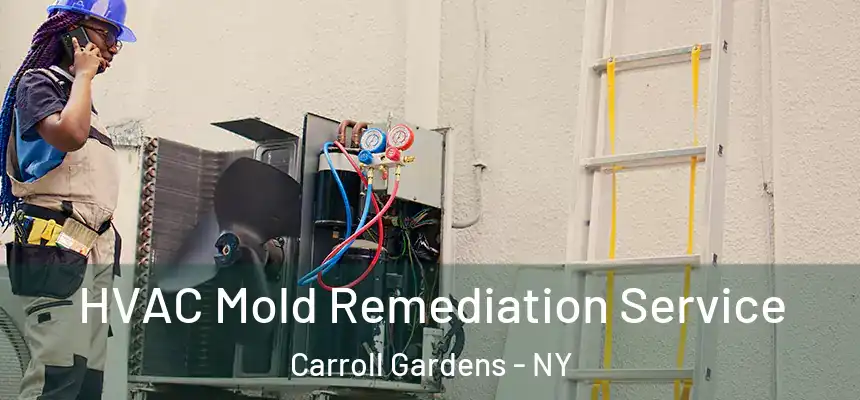 HVAC Mold Remediation Service Carroll Gardens - NY