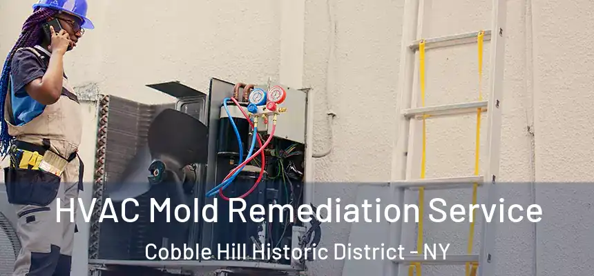 HVAC Mold Remediation Service Cobble Hill Historic District - NY