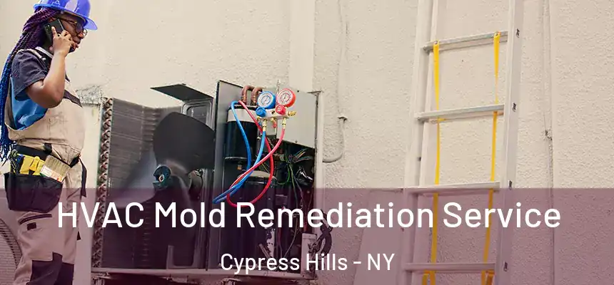 HVAC Mold Remediation Service Cypress Hills - NY