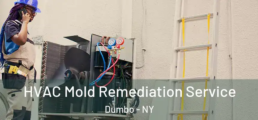 HVAC Mold Remediation Service Dumbo - NY
