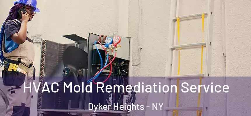 HVAC Mold Remediation Service Dyker Heights - NY