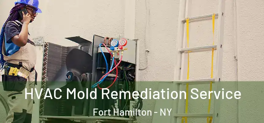  HVAC Mold Remediation Service Fort Hamilton - NY