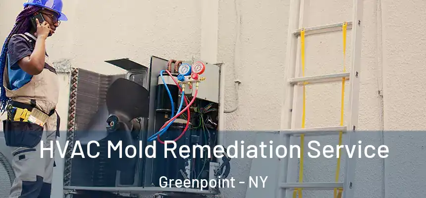HVAC Mold Remediation Service Greenpoint - NY