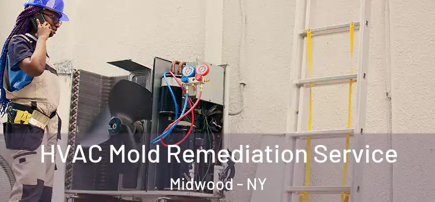HVAC Mold Remediation Service Midwood - NY