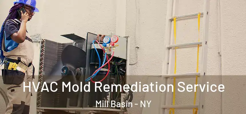 HVAC Mold Remediation Service Mill Basin - NY