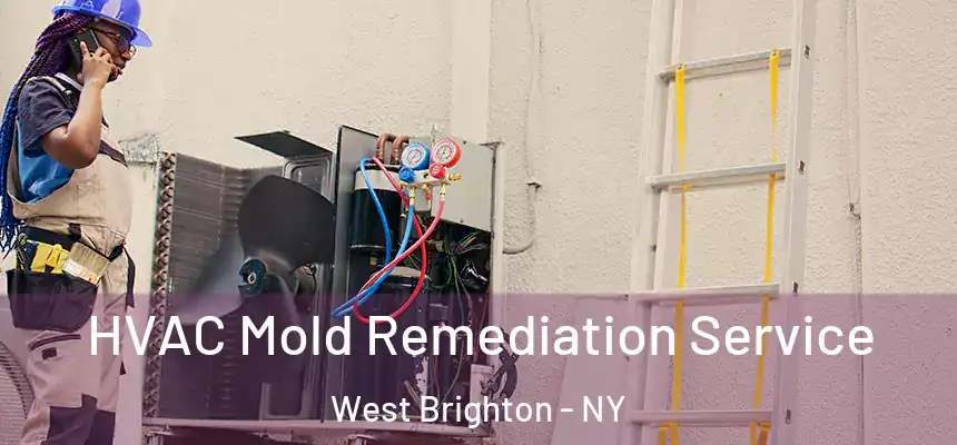 HVAC Mold Remediation Service West Brighton - NY