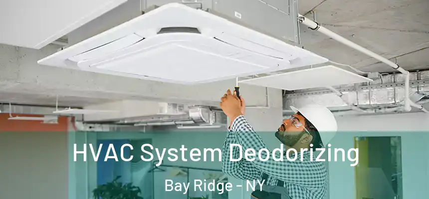 HVAC System Deodorizing Bay Ridge - NY
