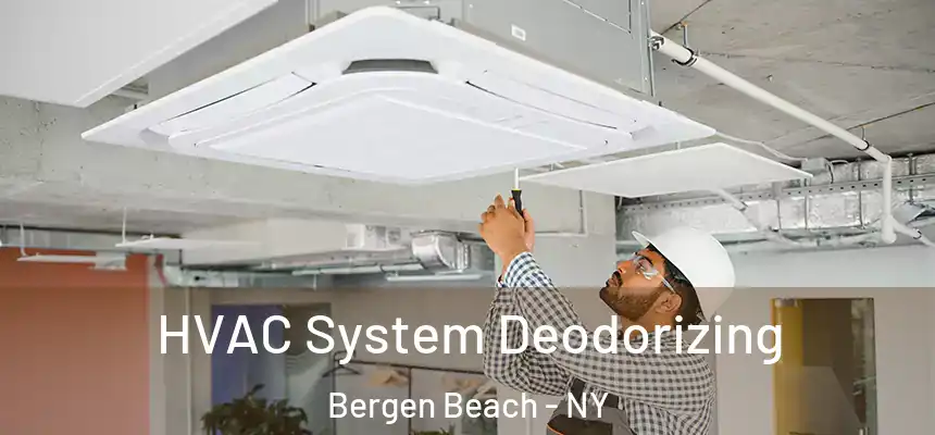 HVAC System Deodorizing Bergen Beach - NY