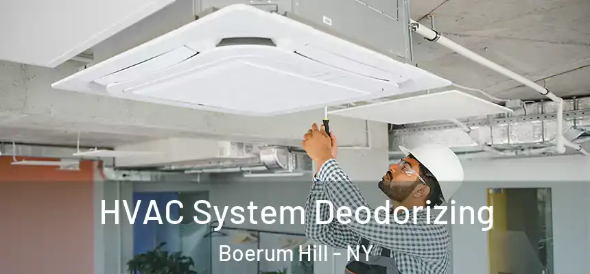 HVAC System Deodorizing Boerum Hill - NY