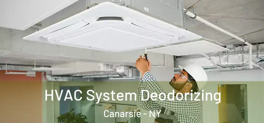 HVAC System Deodorizing Canarsie - NY
