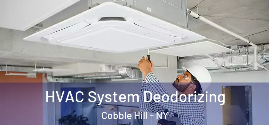 HVAC System Deodorizing Cobble Hill - NY
