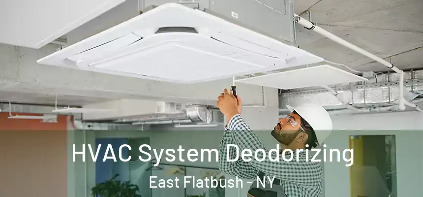 HVAC System Deodorizing East Flatbush - NY