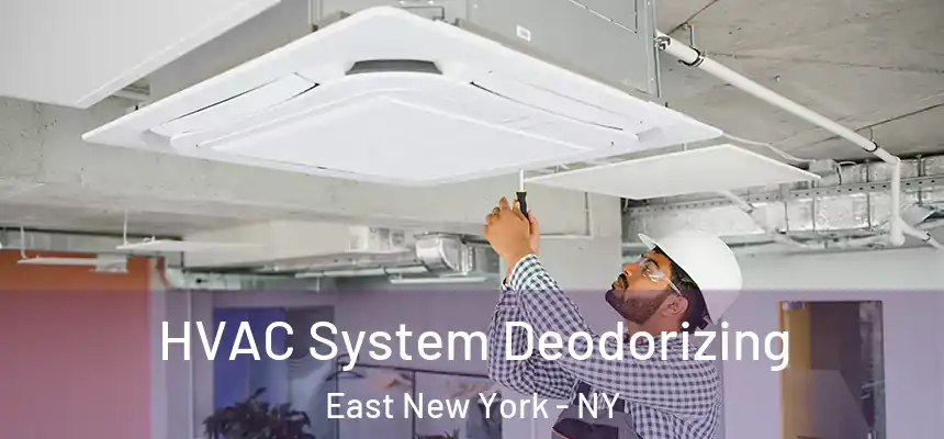 HVAC System Deodorizing East New York - NY