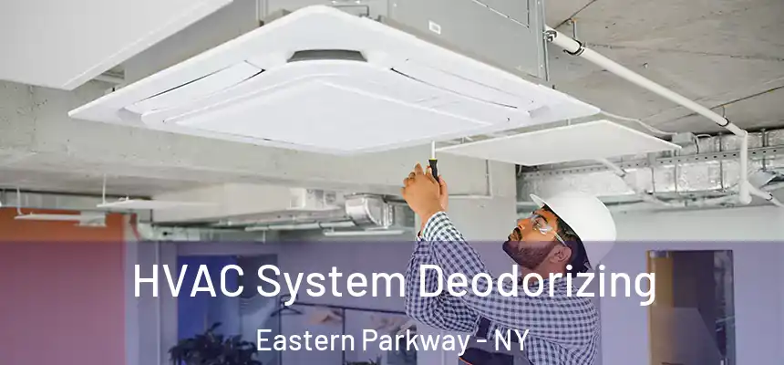 HVAC System Deodorizing Eastern Parkway - NY