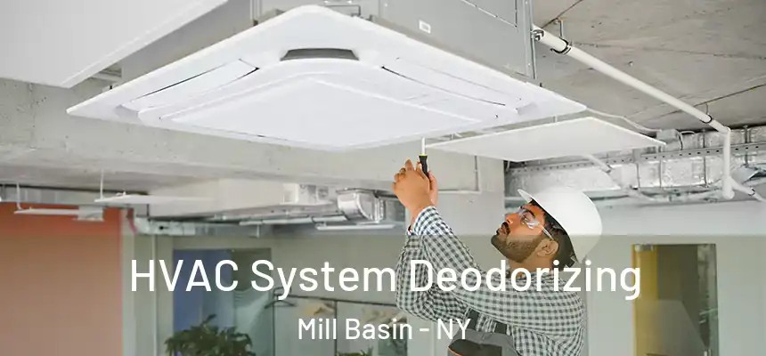 HVAC System Deodorizing Mill Basin - NY