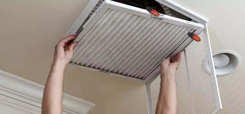 Preventive Cockroach-Proofing for Ducts in Brooklyn