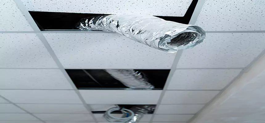 Our Air Duct Pet Hair Removal Services in Brooklyn, NY