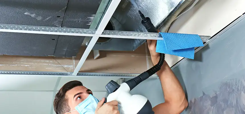 Our Air Duct Rodent Removal Services in Brooklyn, NY