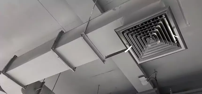 Restorative Allergy Relief Vent Cleaning – Coil, Blower & Housing Detail in Brooklyn