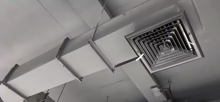 Our Pest Removal From Ducts Services in Brooklyn, NY