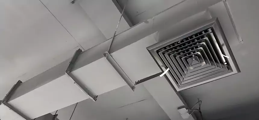 Our Rodent Droppings In Vents Services in Brooklyn, NY