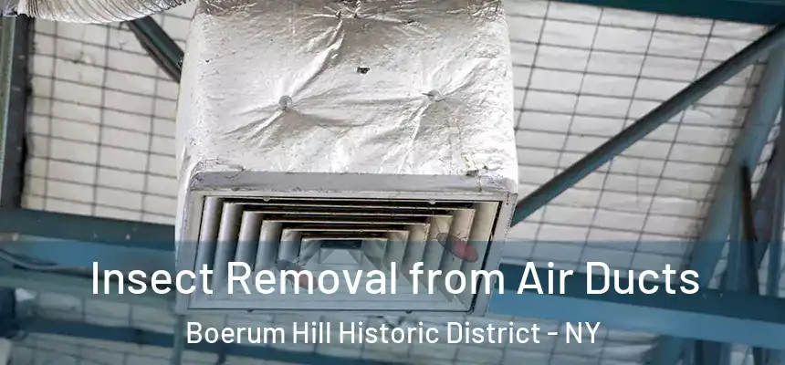 Insect Removal from Air Ducts Boerum Hill Historic District - NY