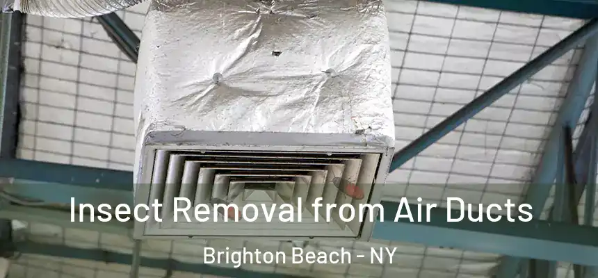 Insect Removal from Air Ducts Brighton Beach - NY